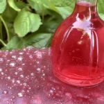 Rhubarb Liqueur